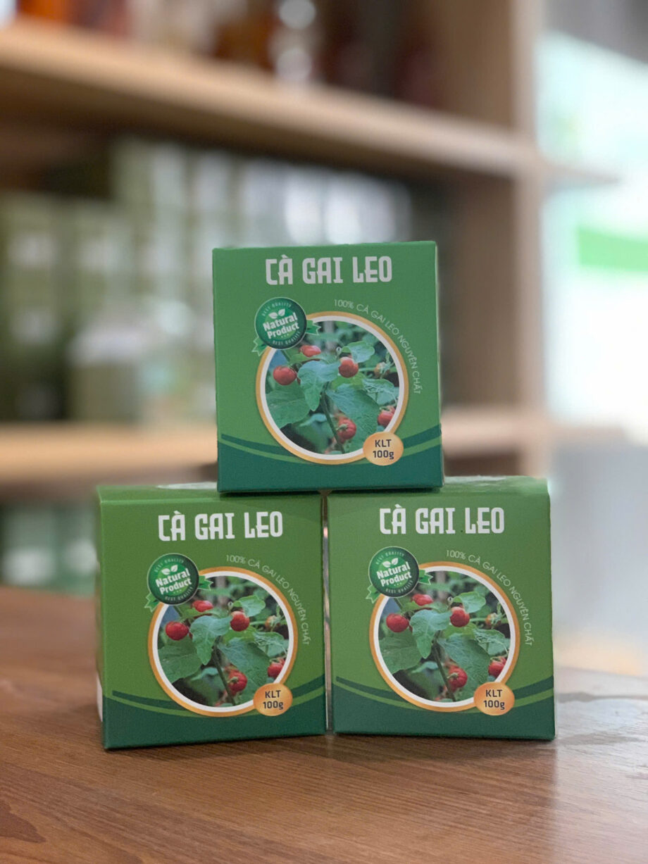 Cao cà gai leo